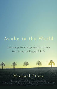 Title: Awake in the World: Teachings from Yoga and Buddhism for Living an Engaged Life, Author: Michael Stone