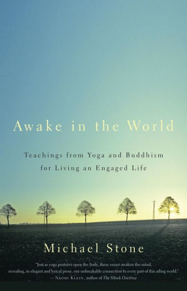 Awake in the World: Teachings from Yoga and Buddhism for Living an Engaged Life