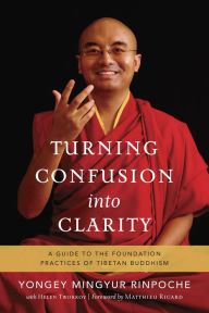 Title: Turning Confusion into Clarity: A Guide to the Foundation Practices of Tibetan Buddhism, Author: Yongey Mingyur Rinpoche