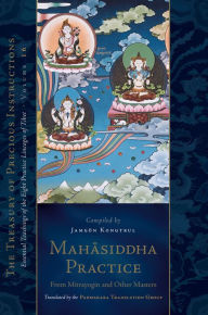Title: Mahasiddha Practice: From Mitrayogin and Other Masters, Volume 16 (The Treasury of Precious Instructions), Author: Jamgon Kongtrul