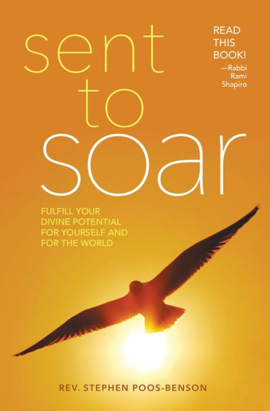 Sent to Soar: Fulfilling Your Divine Potential for Yourself and the World