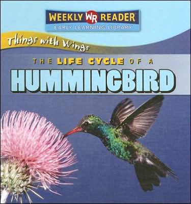 The Life Cycle of a Hummingbird