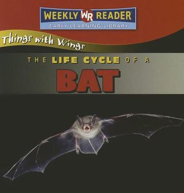 The Life Cycle of a Bat