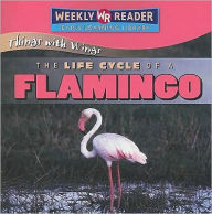 Title: The Life Cycle of a Flamingo, Author: JoAnn Early Macken