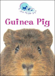 Title: Guinea Pig, Author: Matthew Rayner