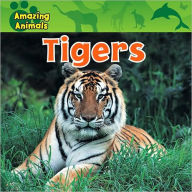 Title: Tigers, Author: Christina Wilsdon