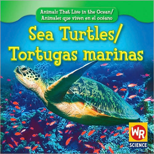 Sea Turtles / Tortugas Marinas