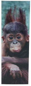 Title: Orangutan Baby Bookmark