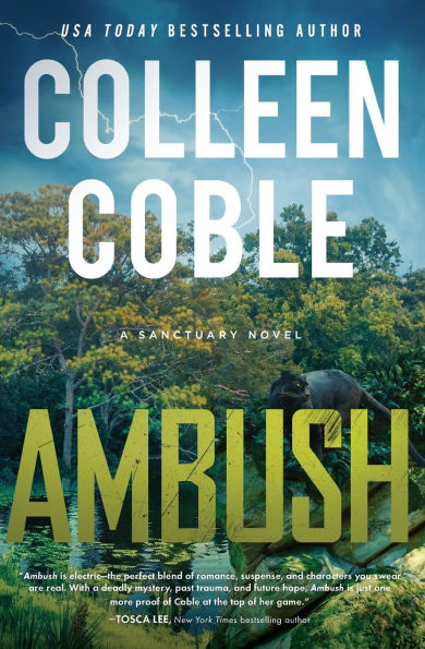 Ambush: A Small-Town Romantic Suspense