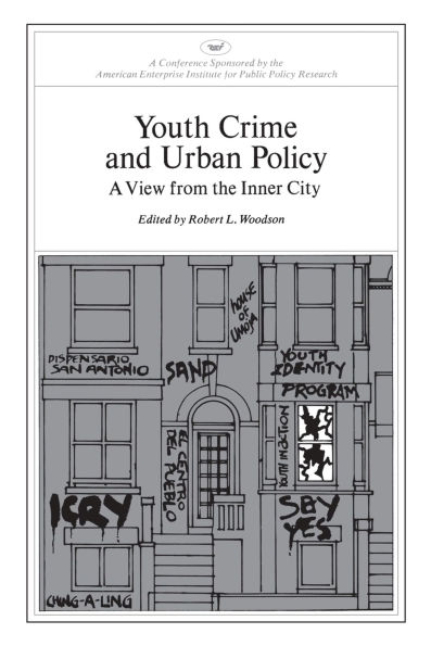 Youth Crime and Urban Policy: A View from the Inner City (AEI symposia)