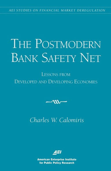 The Postmodern Bank Safety Net: Lessons from Developed and Developing Economies