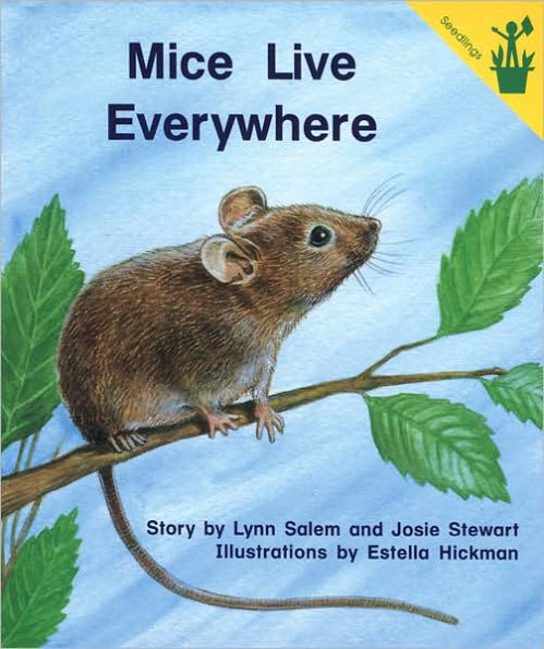 Early Reader: Mice Live Everywhere (LapBook)