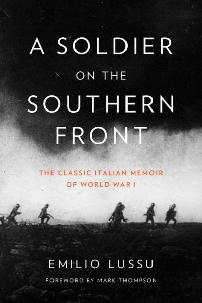 A Soldier on the Southern Front: The Classic Italian Memoir of World War 1