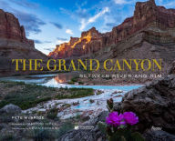 English audio book free download The Grand Canyon: Between River and Rim by Pete McBride, Hampton Sides, Kevin Fedarko, The Grand Canyon Association (Contribution by) PDF PDB iBook (English literature)