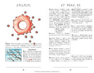 Alternative view 6 of Codex Seraphinianus: 40th Anniversary Edition