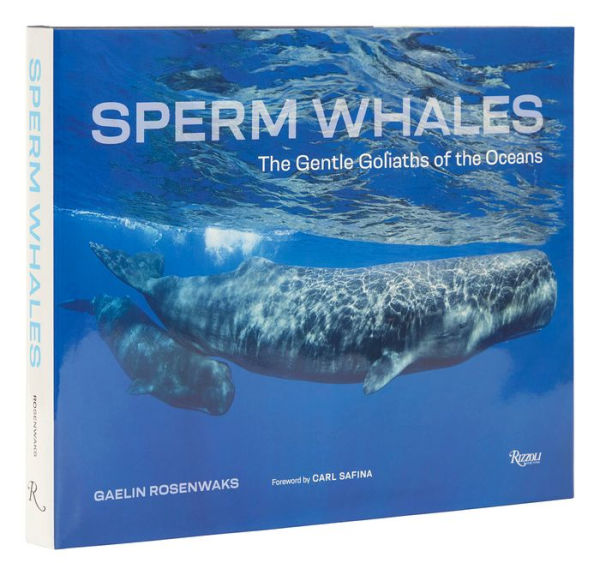 Sperm Whales: The Gentle Goliaths of the Ocean