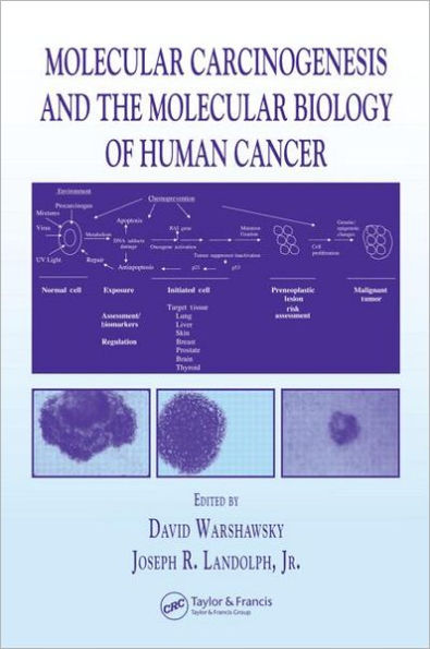 Molecular Carcinogenesis and the Molecular Biology of Human Cancer / Edition 1