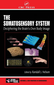 Title: The Somatosensory System: Deciphering the Brain's Own Body Image / Edition 1, Author: Randall J. Nelson