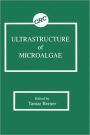 Ultrastructure of Microalgae / Edition 1