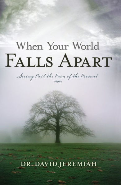 When Your World Falls Apart: See Past the Pain of the Present