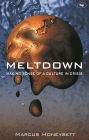 Meltdown: Making Sense Of A Culture In Crisis