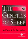 The Genetics of Sheep