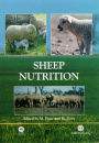 Sheep Nutrition