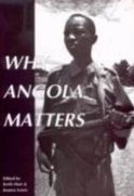 Title: Why Angola Matters, Author: Joanna Lewis