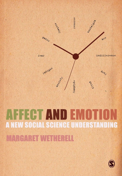Affect and Emotion: A New Social Science Understanding / Edition 1