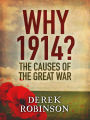Why 1914?: The Causes of the Great War