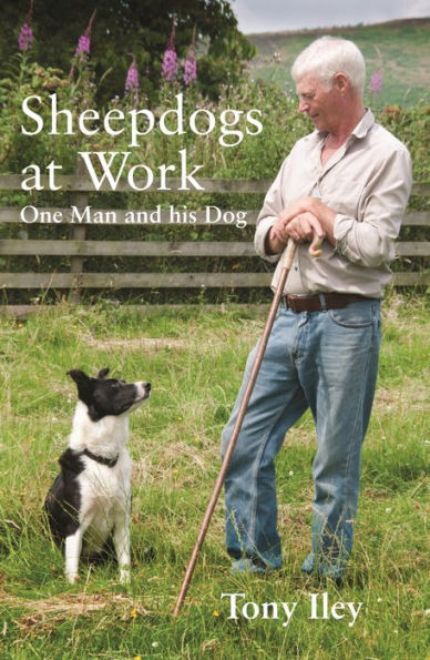 Sheepdogs at Work: One Man and his Dog