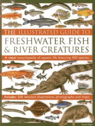 The Illustrated Guide To Freshwater Fish Amp River Creatures