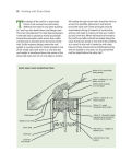 Alternative view 6 of Building with Straw Bales: A practical manual for self-builders and architects