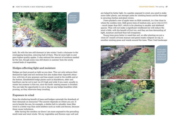 How to Create a New Vegetable Garden: Producing a Beautiful and Fruitful Garden from Scratch