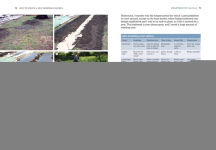 Alternative view 5 of How to Create a New Vegetable Garden: Producing a beautiful and fruitful garden from scratch