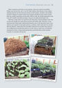 Alternative view 8 of How to Create a New Vegetable Garden: Producing a Beautiful and Fruitful Garden from Scratch