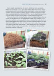 Alternative view 3 of How to Create a New Vegetable Garden: Producing a beautiful and fruitful garden from scratch
