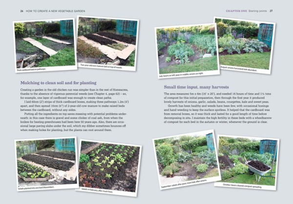 How to Create a New Vegetable Garden: Producing a beautiful and fruitful garden from scratch
