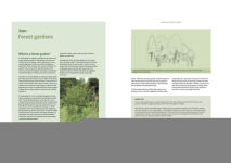 Alternative view 14 of Creating a Forest Garden: Working with Nature to Grow Edible Crops
