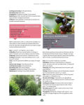 Alternative view 7 of Creating a Forest Garden: Working with Nature to Grow Edible Crops