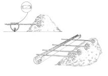 Alternative view 9 of Creating a Forest Garden: Working with Nature to Grow Edible Crops