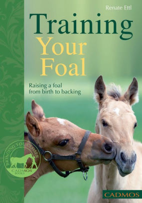 Training Your Foal Raising A Foal From Birth To Backing
