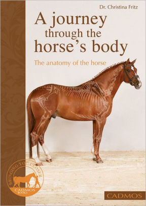 A Journey Through The Horse S Body The Anatomy Of The Horse By Dr