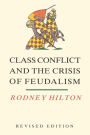 Class Conflict and the Crisis of Feudalism: Essays in Medieval Social History