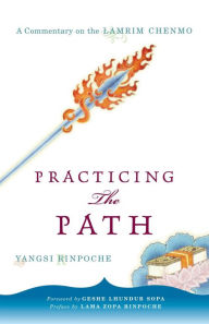 Title: Practicing the Path: A Commentary on the Lamrim Chenmo, Author: Yangsi Rinpoche