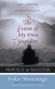 Title: Novice to Master: An Ongoing Lesson in the Extent of My Own Stupidity, Author: Soko Morinaga