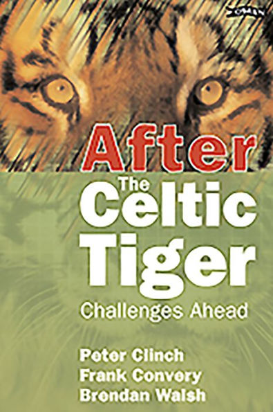 After the Celtic Tiger: Challenges Ahead