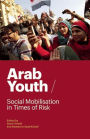 Arab Youth: Social Mobilisation in Times of Risk