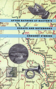 Title: After Bathing at Baxter's: Essays and Notebooks, Author: Gregory O'Brien