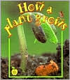 How a Plant Grows
